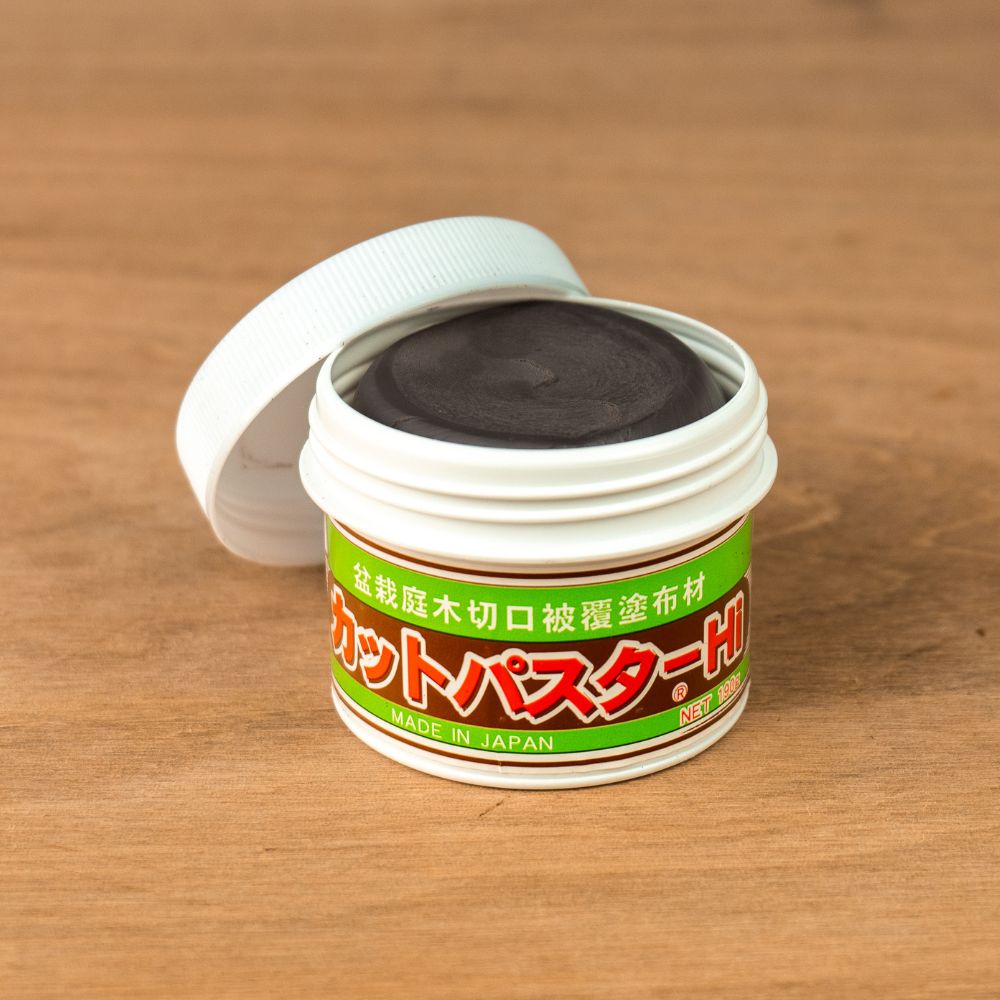 Bonsai wondpasta (bundel)